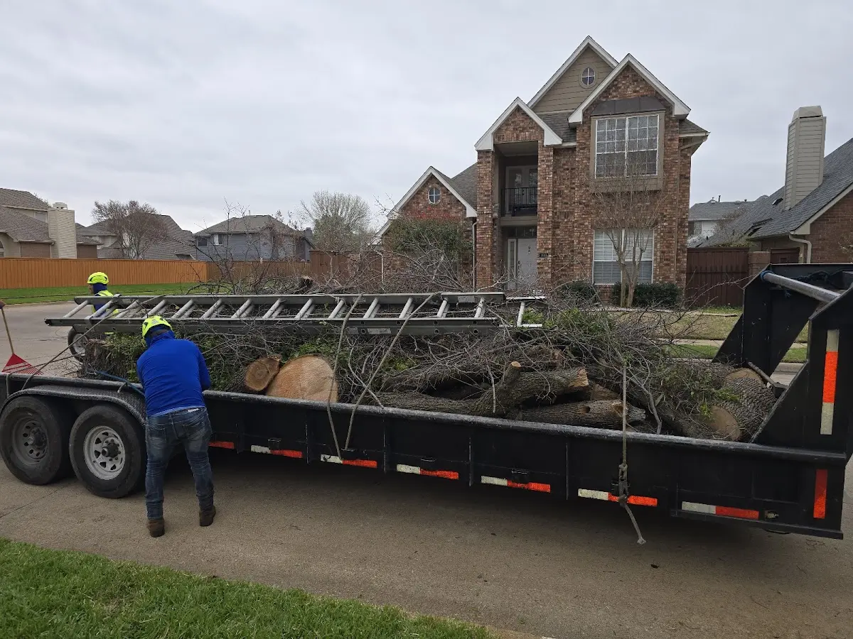 Expert Tree Pest Control with proper safety equipment in Tresckow
